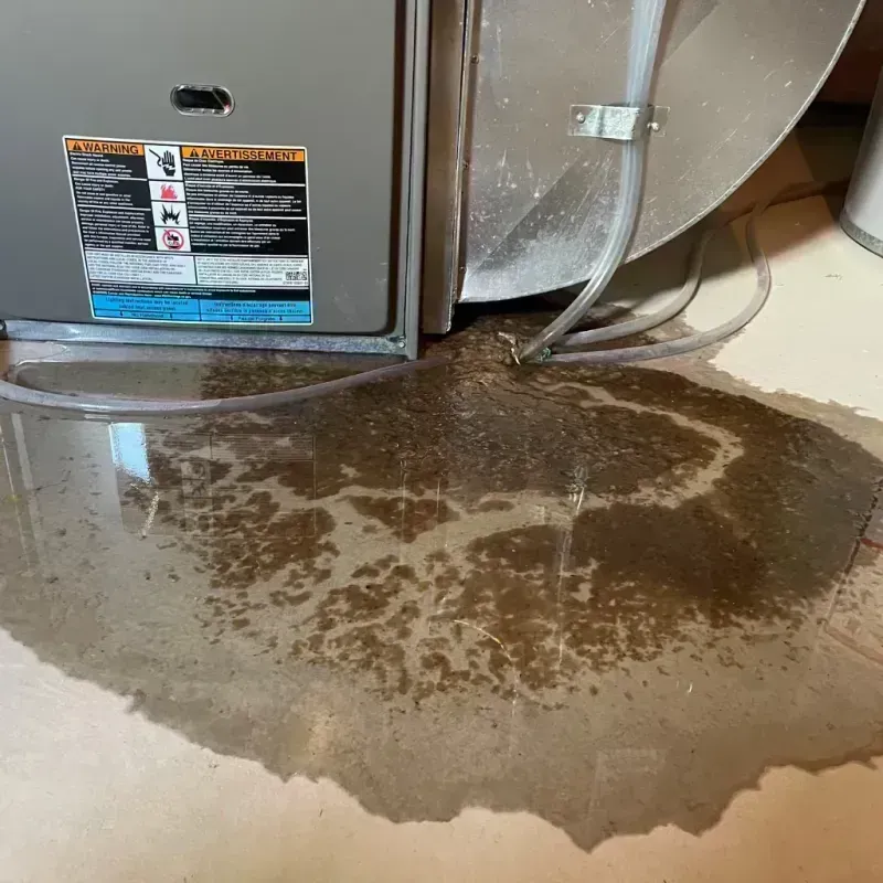 Appliance Leak Cleanup in Dakota Dunes, SD